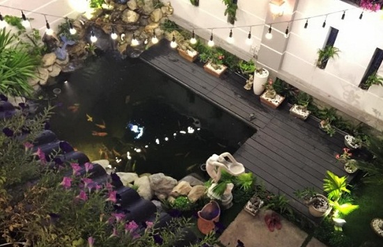 sàn gỗ bể các Koi