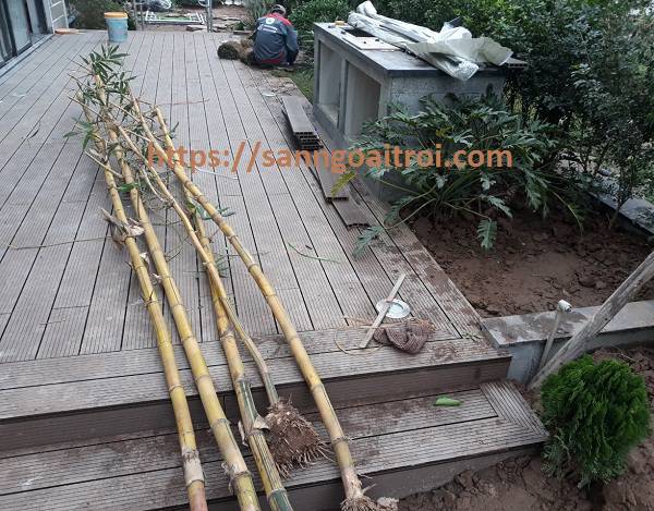 lắp đặt sàn ngoài trời